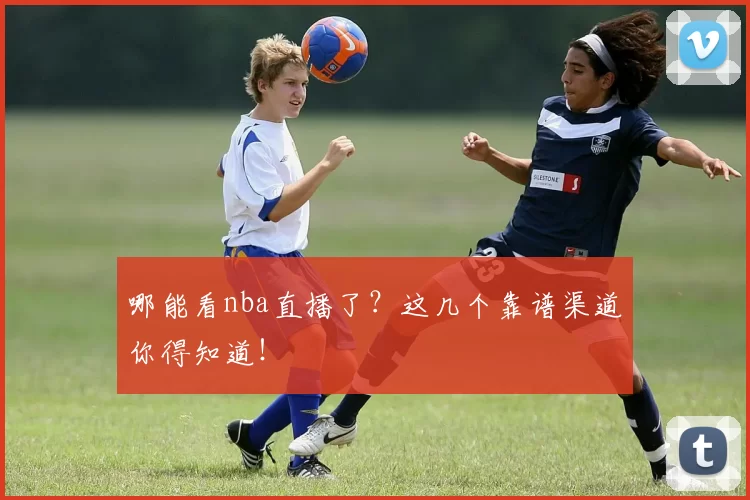 哪能看nba直播了?这几个靠谱渠道你得知道!