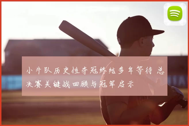 小牛队历史性夺冠终结多年等待 总决赛关键战回顾与冠军启示