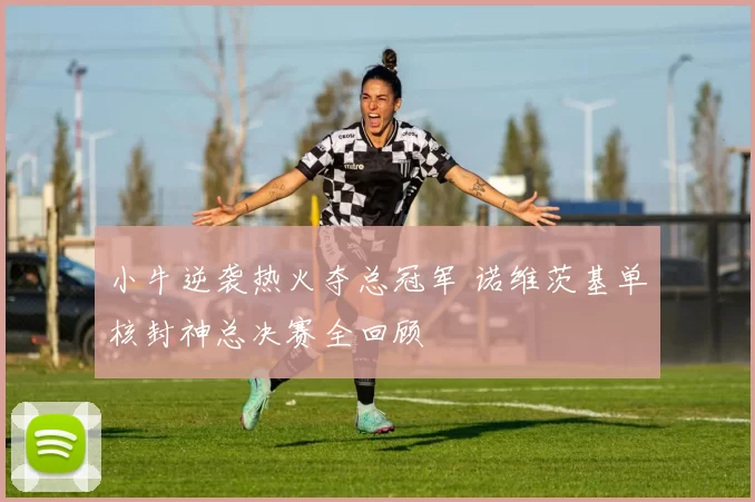 小牛逆袭热火夺总冠军 诺维茨基单核封神总决赛全回顾