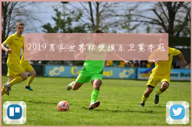 2019男乒世界杯樊振东卫冕夺冠