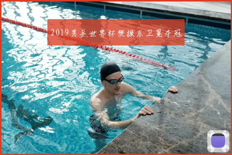2019男乒世界杯樊振东卫冕夺冠