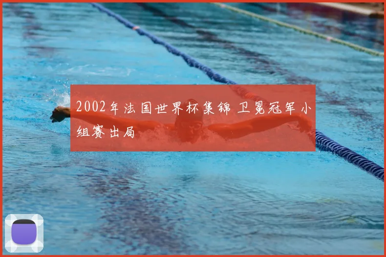 2002年法国世界杯集锦 卫冕冠军小组赛出局